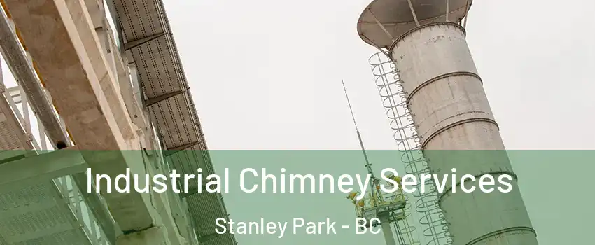  Industrial Chimney Services Stanley Park - BC