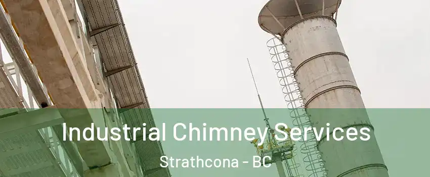  Industrial Chimney Services Strathcona - BC