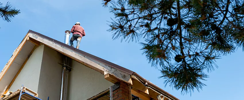 Birds Removal Contractors from Chimney in Vancouver, BC