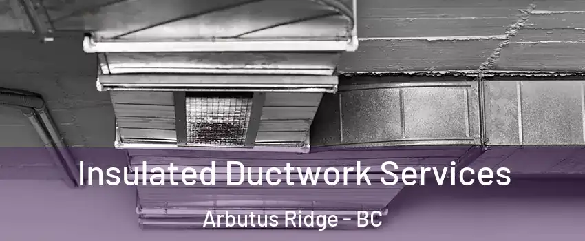  Insulated Ductwork Services Arbutus Ridge - BC