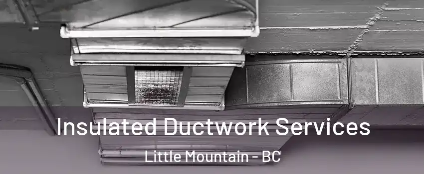  Insulated Ductwork Services Little Mountain - BC