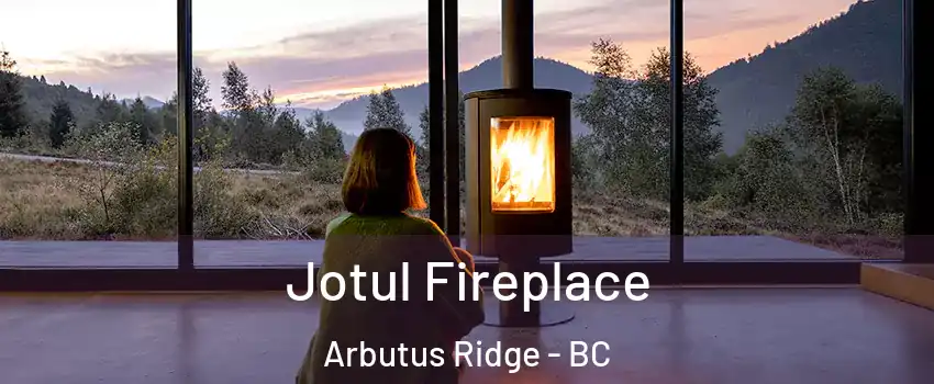  Jotul Fireplace Arbutus Ridge - BC