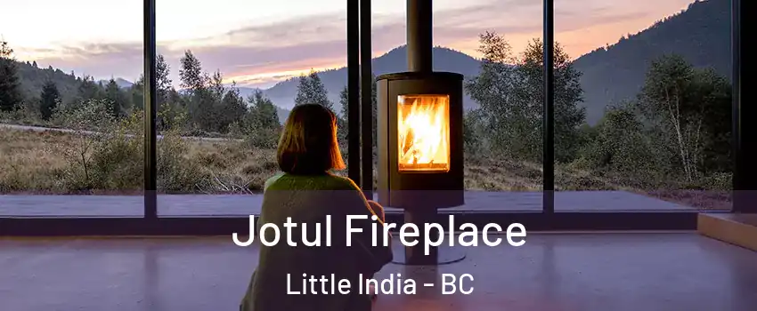  Jotul Fireplace Little India - BC