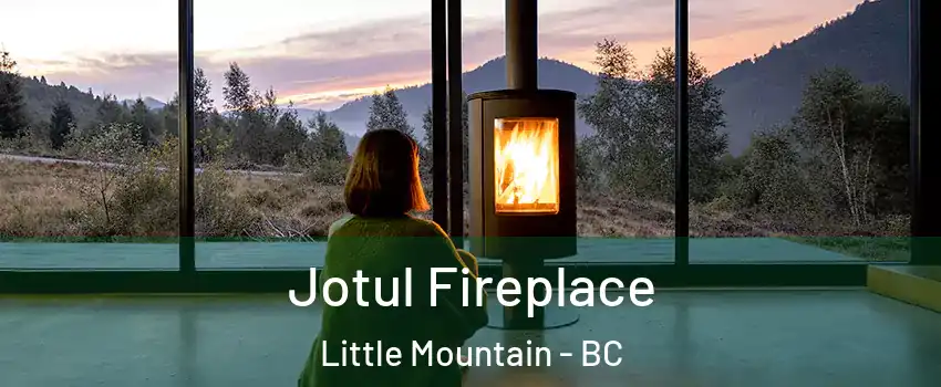  Jotul Fireplace Little Mountain - BC