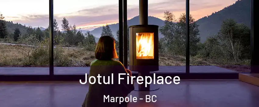  Jotul Fireplace Marpole - BC