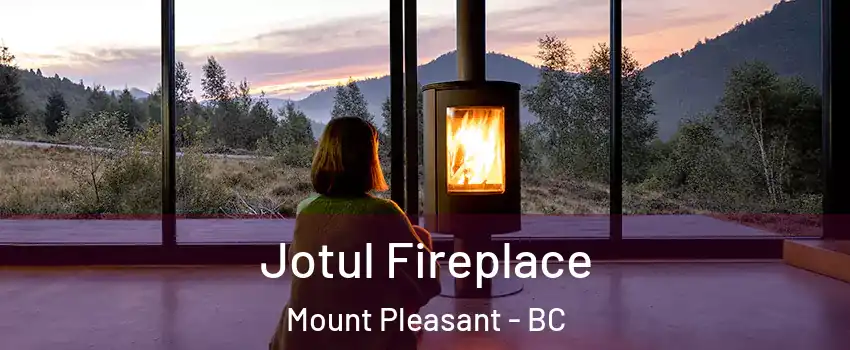  Jotul Fireplace Mount Pleasant - BC