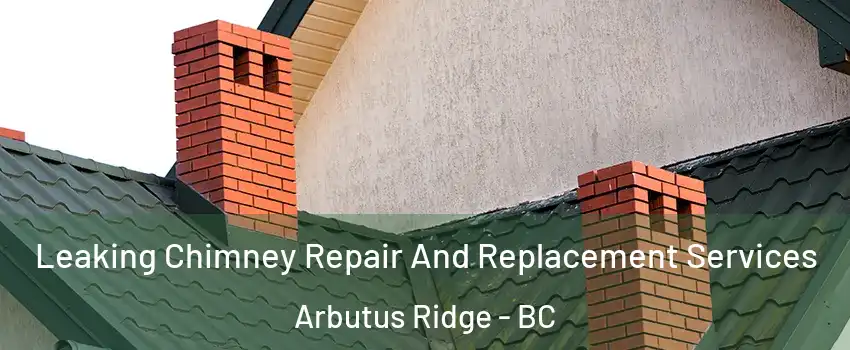  Leaking Chimney Repair And Replacement Services Arbutus Ridge - BC