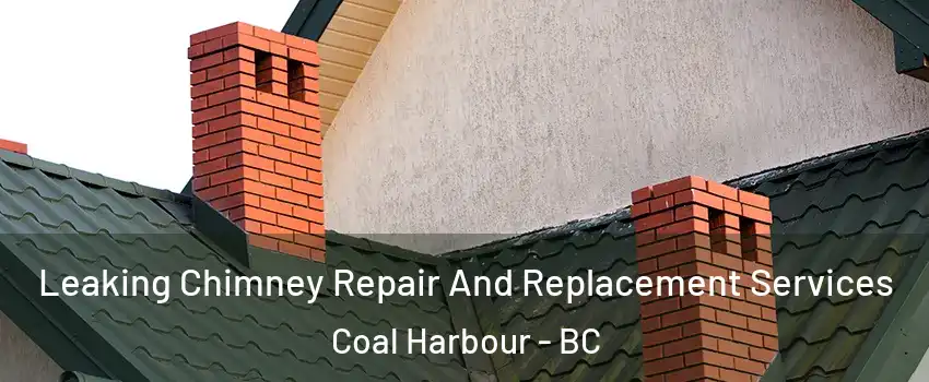  Leaking Chimney Repair And Replacement Services Coal Harbour - BC