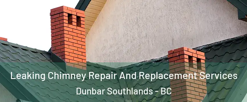  Leaking Chimney Repair And Replacement Services Dunbar Southlands - BC