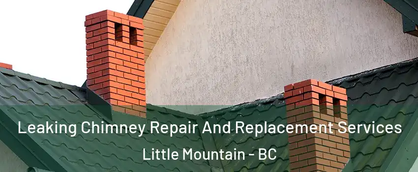  Leaking Chimney Repair And Replacement Services Little Mountain - BC