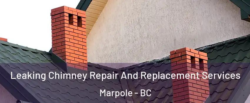  Leaking Chimney Repair And Replacement Services Marpole - BC