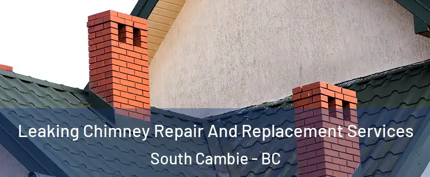  Leaking Chimney Repair And Replacement Services South Cambie - BC