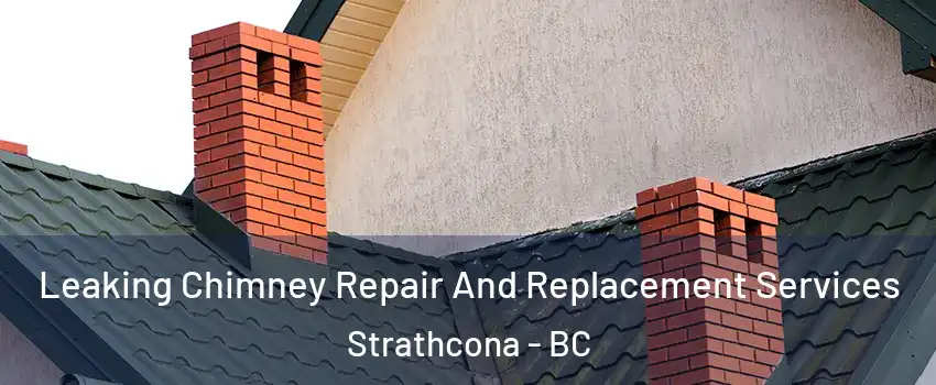  Leaking Chimney Repair And Replacement Services Strathcona - BC