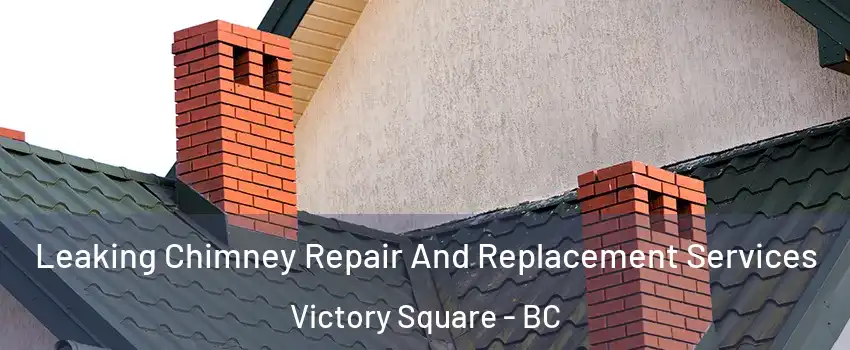  Leaking Chimney Repair And Replacement Services Victory Square - BC