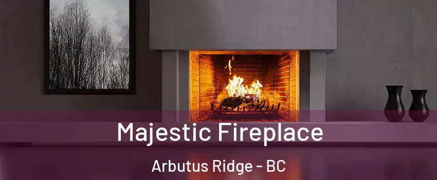  Majestic Fireplace Arbutus Ridge - BC