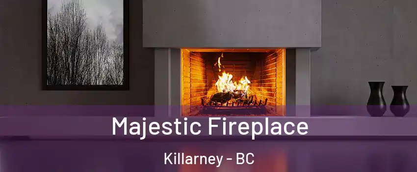  Majestic Fireplace Killarney - BC