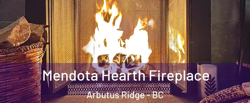  Mendota Hearth Fireplace Arbutus Ridge - BC