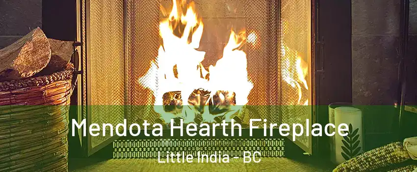  Mendota Hearth Fireplace Little India - BC