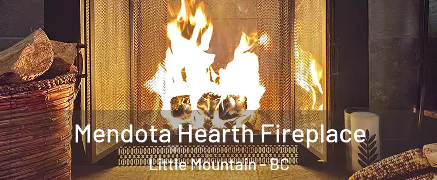  Mendota Hearth Fireplace Little Mountain - BC