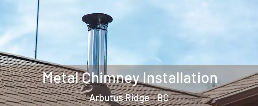  Metal Chimney Installation Arbutus Ridge - BC
