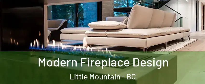  Modern Fireplace Design Little Mountain - BC