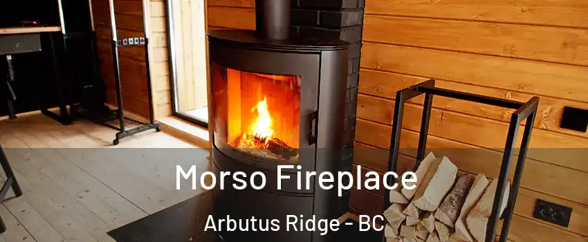  Morso Fireplace Arbutus Ridge - BC