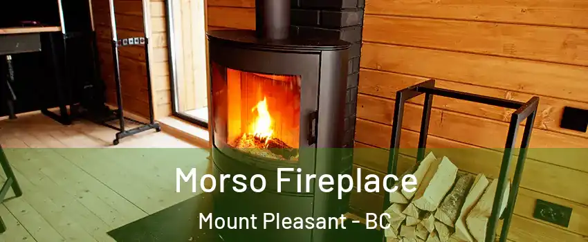  Morso Fireplace Mount Pleasant - BC
