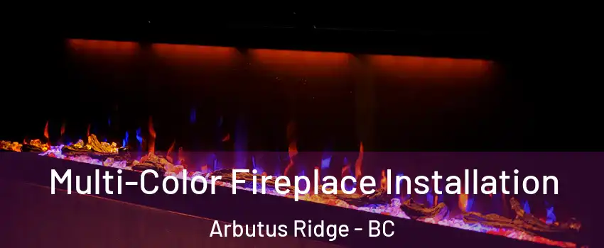  Multi-Color Fireplace Installation Arbutus Ridge - BC