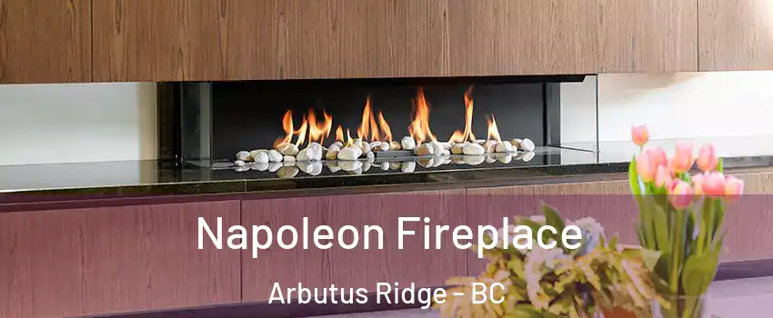  Napoleon Fireplace Arbutus Ridge - BC