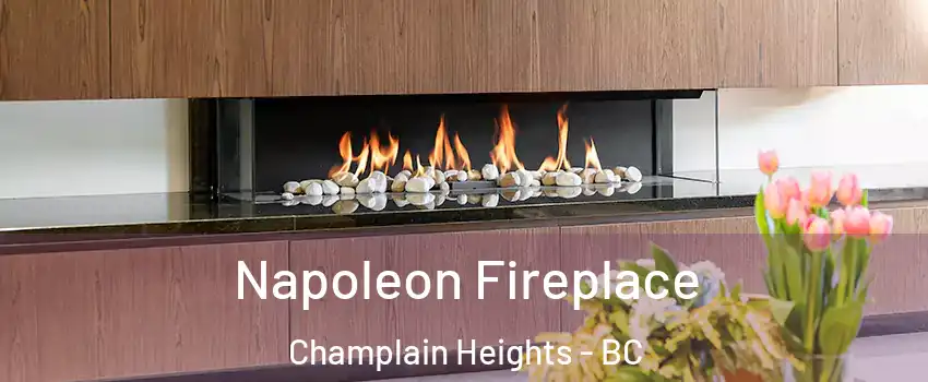  Napoleon Fireplace Champlain Heights - BC