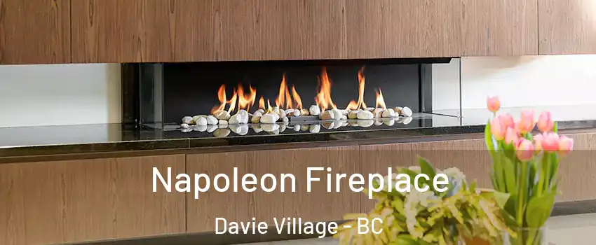  Napoleon Fireplace Davie Village - BC