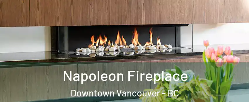  Napoleon Fireplace Downtown Vancouver - BC