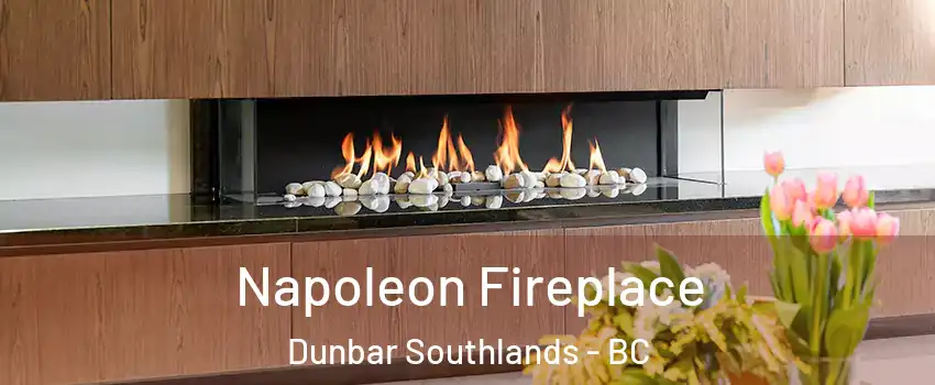  Napoleon Fireplace Dunbar Southlands - BC