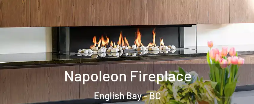  Napoleon Fireplace English Bay - BC