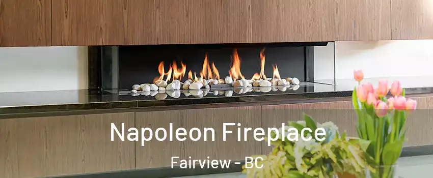  Napoleon Fireplace Fairview - BC