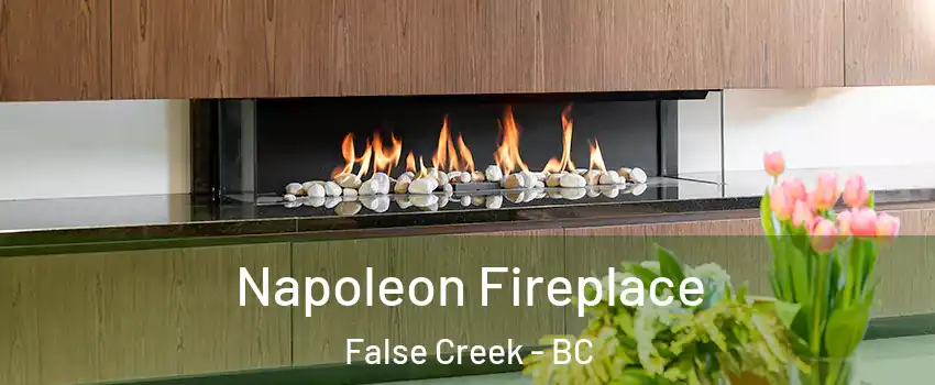  Napoleon Fireplace False Creek - BC
