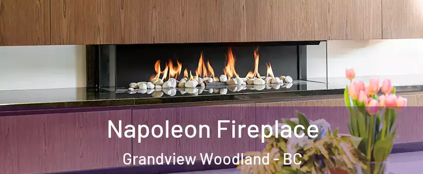  Napoleon Fireplace Grandview Woodland - BC