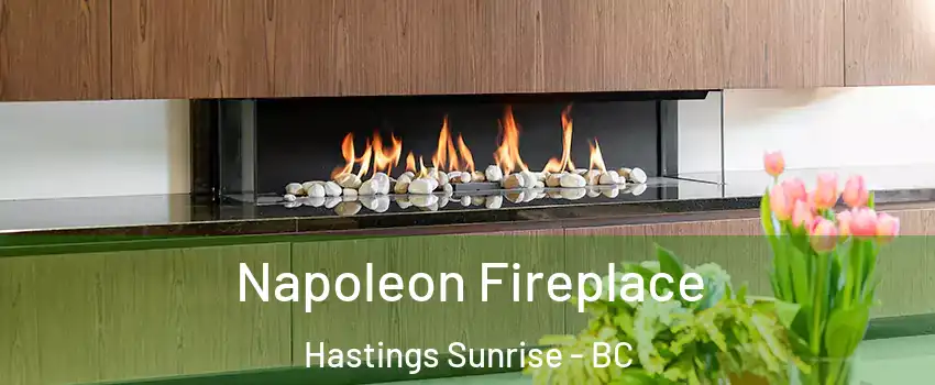  Napoleon Fireplace Hastings Sunrise - BC
