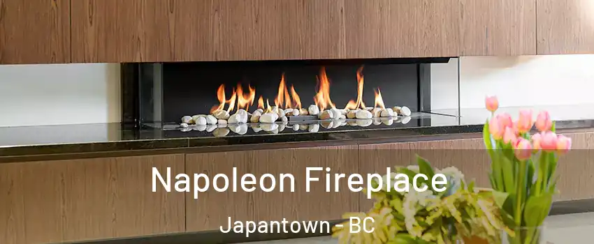  Napoleon Fireplace Japantown - BC