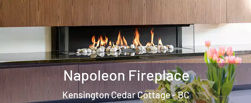 Napoleon Fireplace Kensington Cedar Cottage - BC
