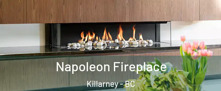  Napoleon Fireplace Killarney - BC