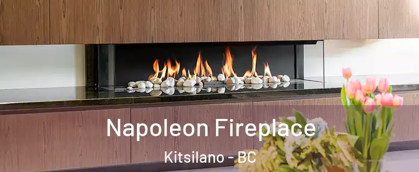  Napoleon Fireplace Kitsilano - BC