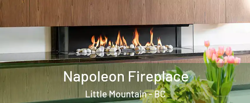  Napoleon Fireplace Little Mountain - BC