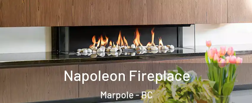  Napoleon Fireplace Marpole - BC
