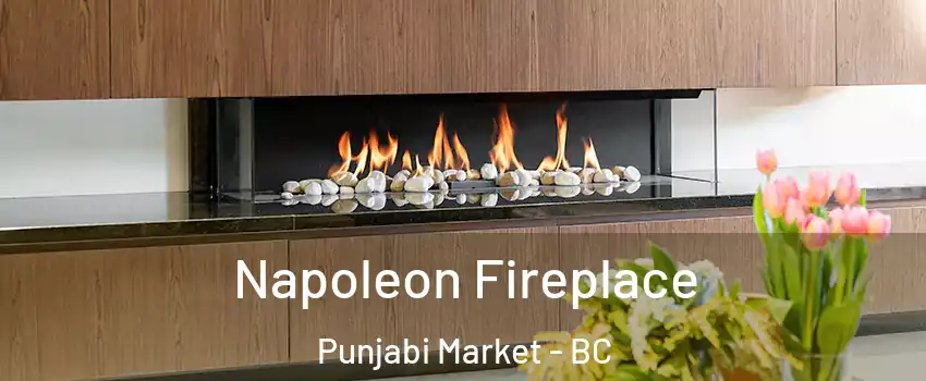 Napoleon Fireplace Punjabi Market - BC