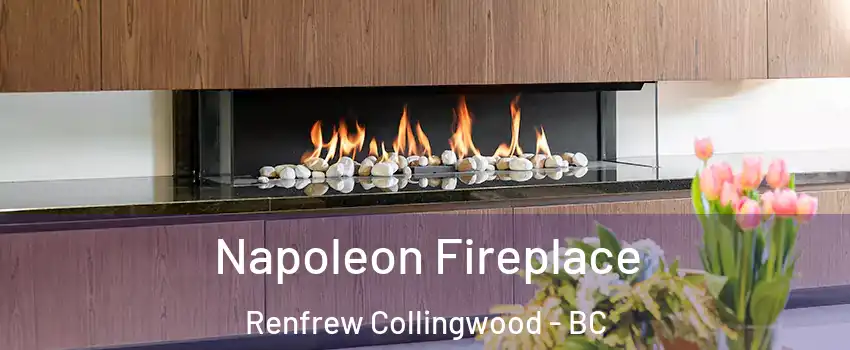  Napoleon Fireplace Renfrew Collingwood - BC