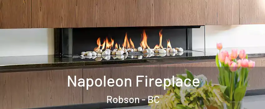  Napoleon Fireplace Robson - BC