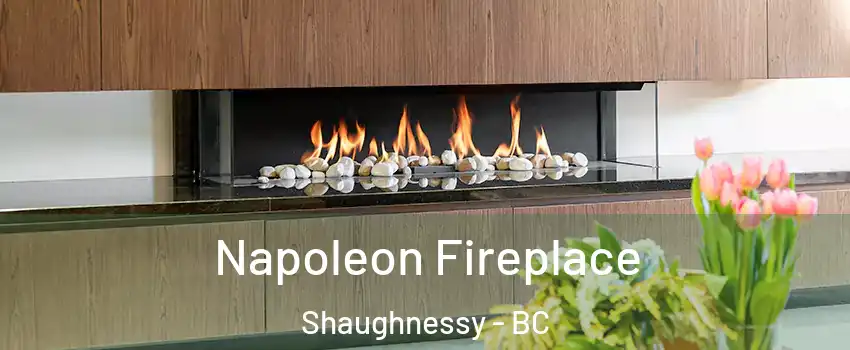  Napoleon Fireplace Shaughnessy - BC