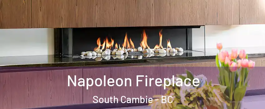  Napoleon Fireplace South Cambie - BC
