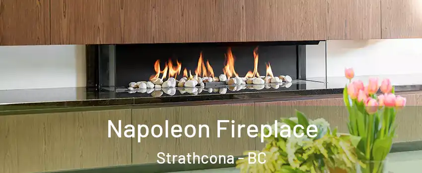  Napoleon Fireplace Strathcona - BC